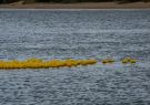 2014 Barwon Heads, Festival of the Sea