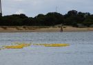 2014 Barwon Heads, Festival of the Sea