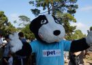 RSPCA Million Paws Walk Geelong