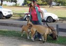 RSPCA Million Paws Walk Geelong