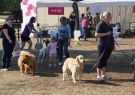 RSPCA Million Paws Walk Geelong