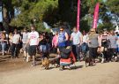 RSPCA Million Paws Walk Geelong