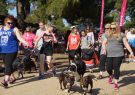 RSPCA Million Paws Walk Geelong