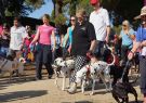 RSPCA Million Paws Walk Geelong