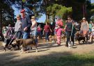 RSPCA Million Paws Walk Geelong