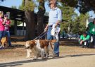 RSPCA Million Paws Walk Geelong