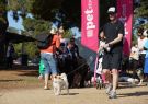 RSPCA Million Paws Walk Geelong