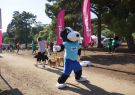 RSPCA Million Paws Walk Geelong