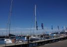 RGYC Festival of Sails Geelong