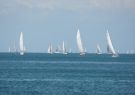 RGYC Festival of Sails Geelong