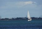 RGYC Festival of Sails Geelong