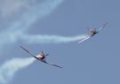 Roulettes at RGYC Festival of Sails Geelong