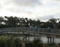 anglesea_dsc05780