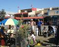 apollo-bay-music-fest-DSC05643