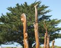 apollobay_dsc05654