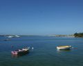 apollobay_dsc05706