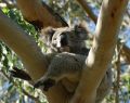 apollobay_dsc05712