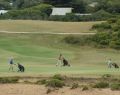 barwon-heads-13