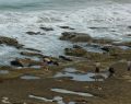 barwon-heads-14