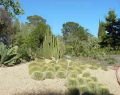 botanical_mvc-119f