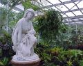 botanical_mvc-263f