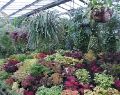 botanical_mvc-265f