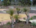 botanical_mvc-6479f