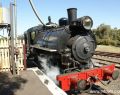 drysdale-DSC03332