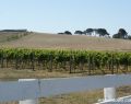 drysdale-DSC03350