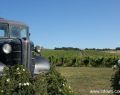 drysdale-DSC03355
