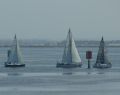 FestivalOfSail-32