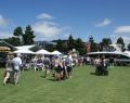 festival-of-sails-09