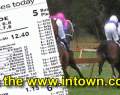 horse-race