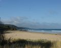 lorne_dsc05762