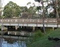 lorne_dsc05771