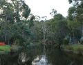 lorne_dsc05773