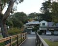 lorne_dsc05775