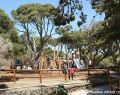 ptlonsdale-DSC03761