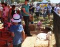 Australia-Day-10