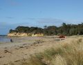 torquay_dsc07246