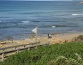 torquay_dsc07268