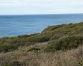 torquay_dsc07273