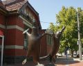werribee_dsc05496