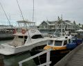williamstown_dsc06771