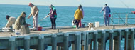 Bellarine Fishing