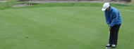 Bellarine Golf