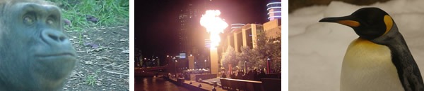 Melbourne attractions