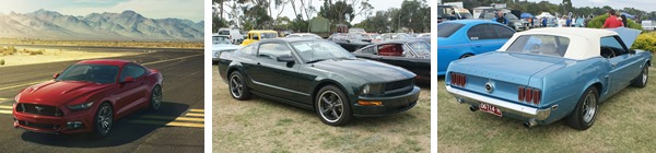 3-mustang