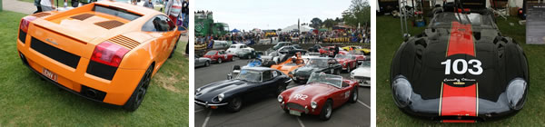 Geelong Revival