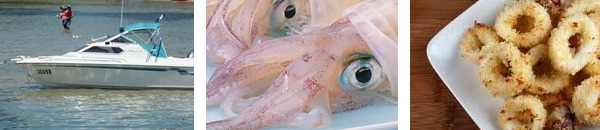 3-squid calamari